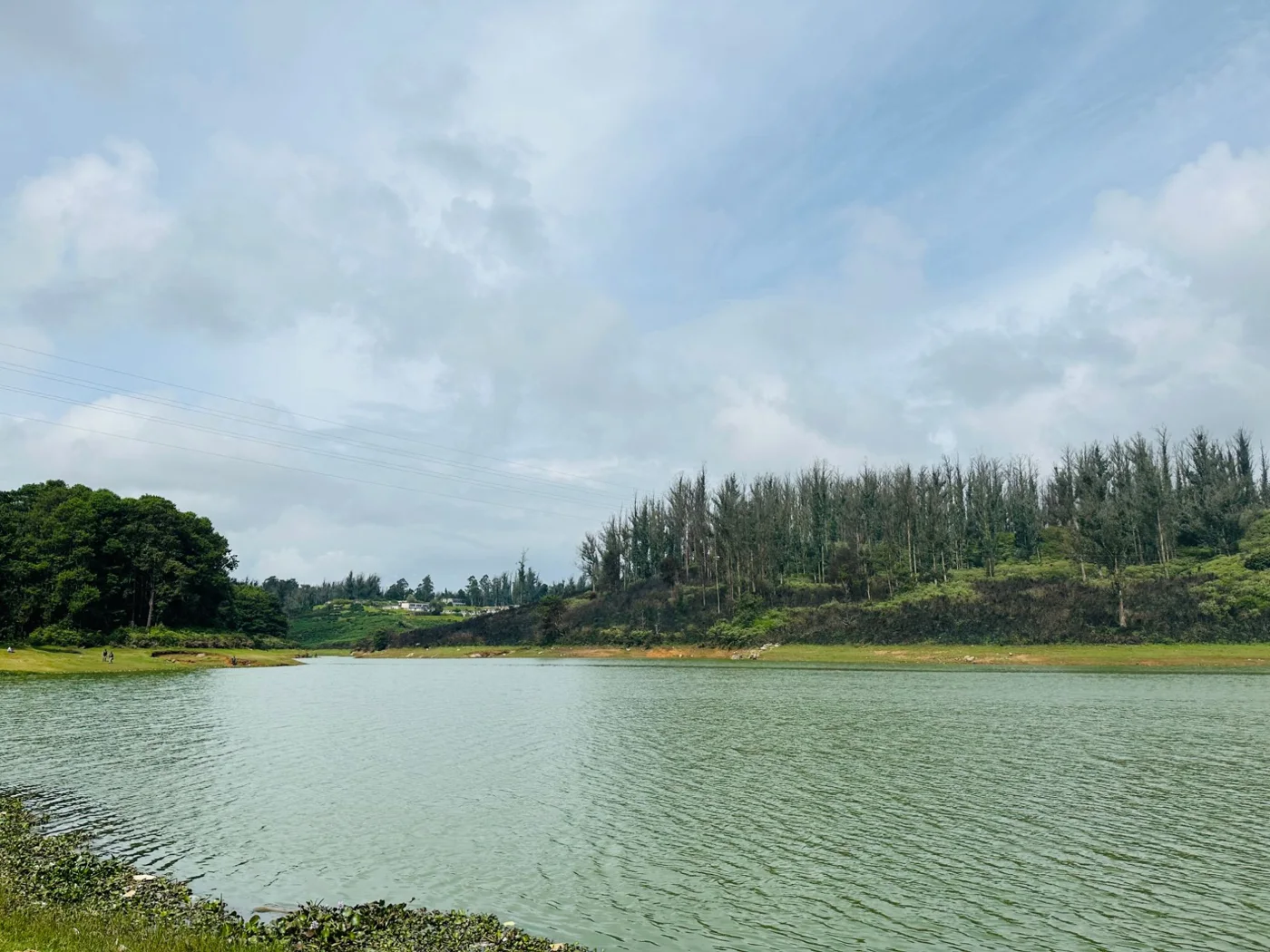 A calm green lake under a big cloudy sky, with pines on the far bank.