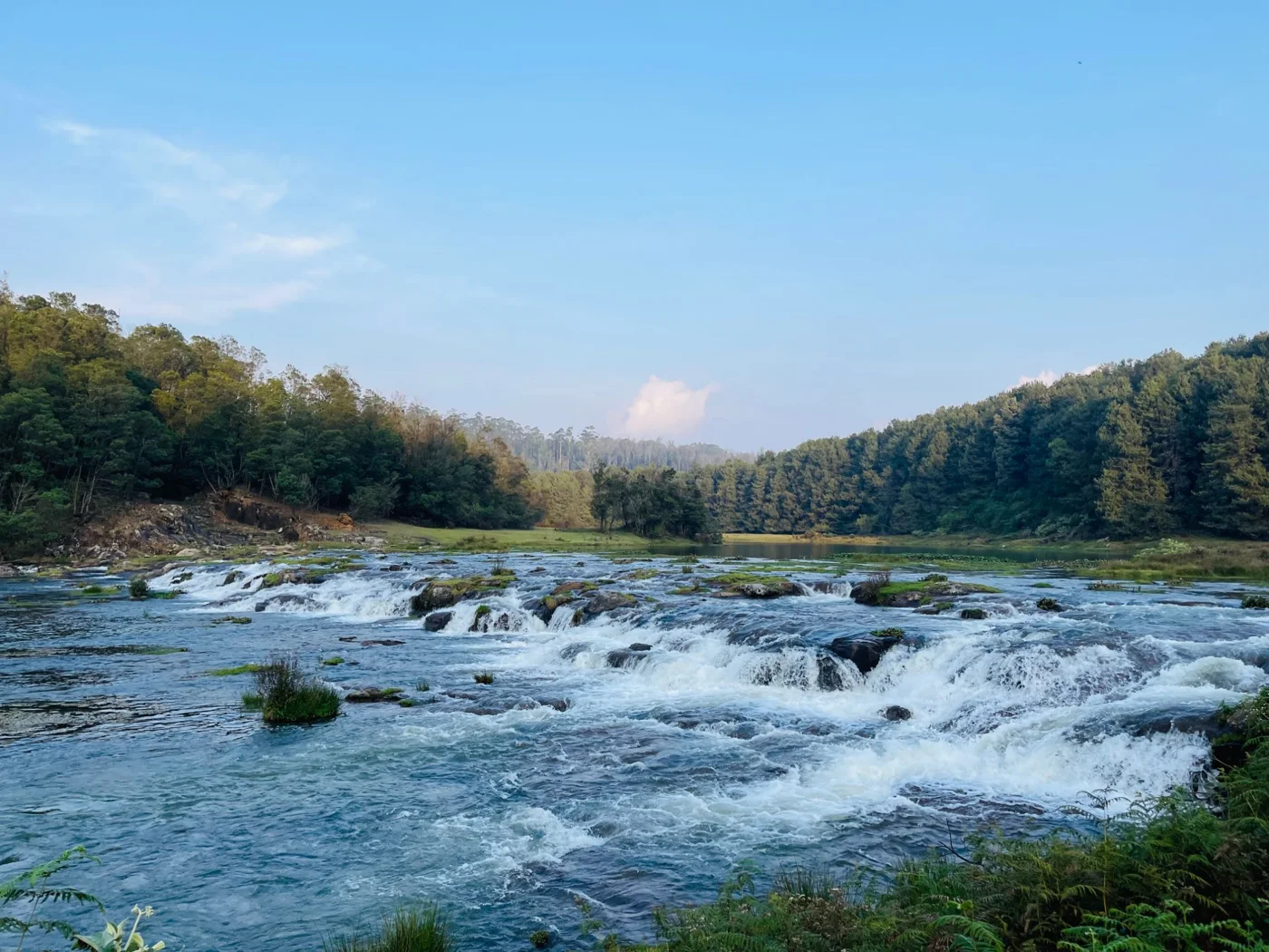 A wide river tumbling over low rocks between pine-covered hills.